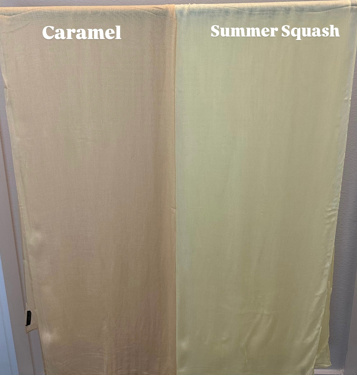 Summer Squash